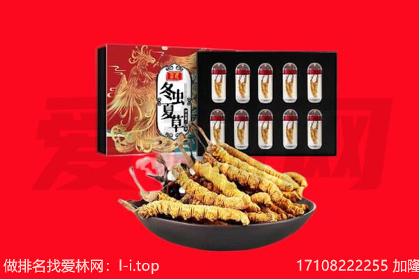 深州市回收虫草.jpg